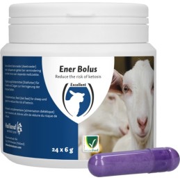 Ener Bolus Schaap & Geit (tijdelijk met gratis bolusschieter)