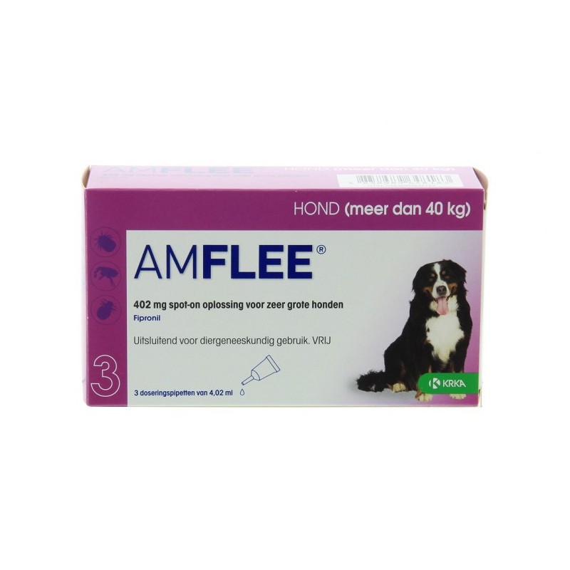 Amflee 402mg spot-on hond X-Large