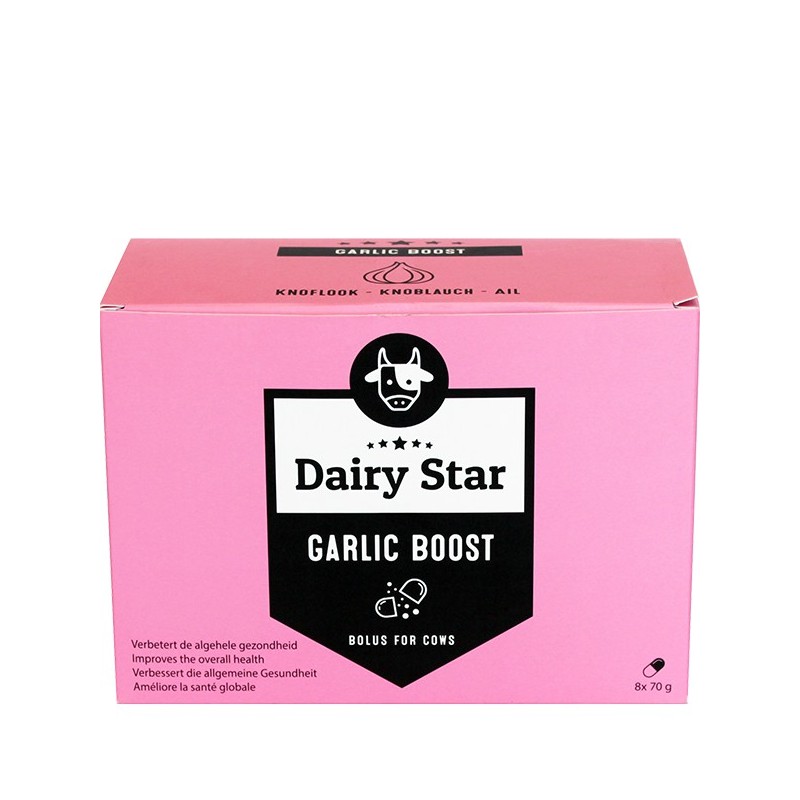 Dairy Star Knoflook Boost Bolus