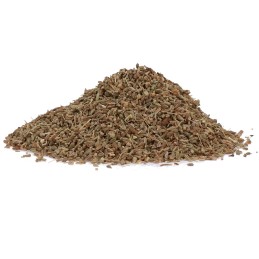 Excellent Herbs Anijs 1 kg