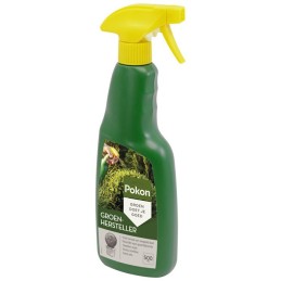 Buxus groenmaker 500 ml