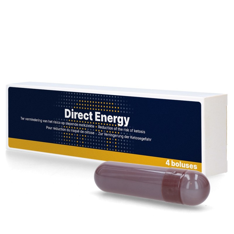 Direct Energie Bolus