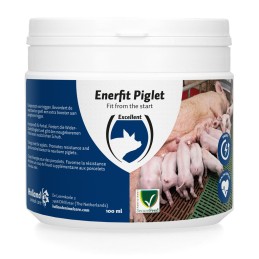 Enerfit Piglet