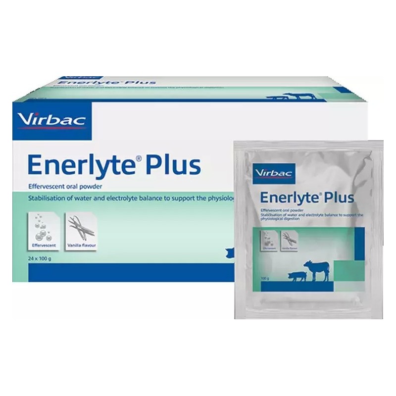 Enerlyte plus 24x100gr