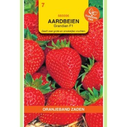 Aardbeien Grandian (vh Sarian) F1