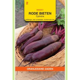 Rode Bieten Cylindra