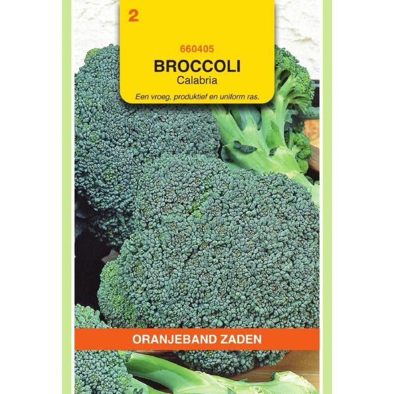 Broccoli Calabria