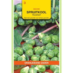 Spruitkool Roodnerf