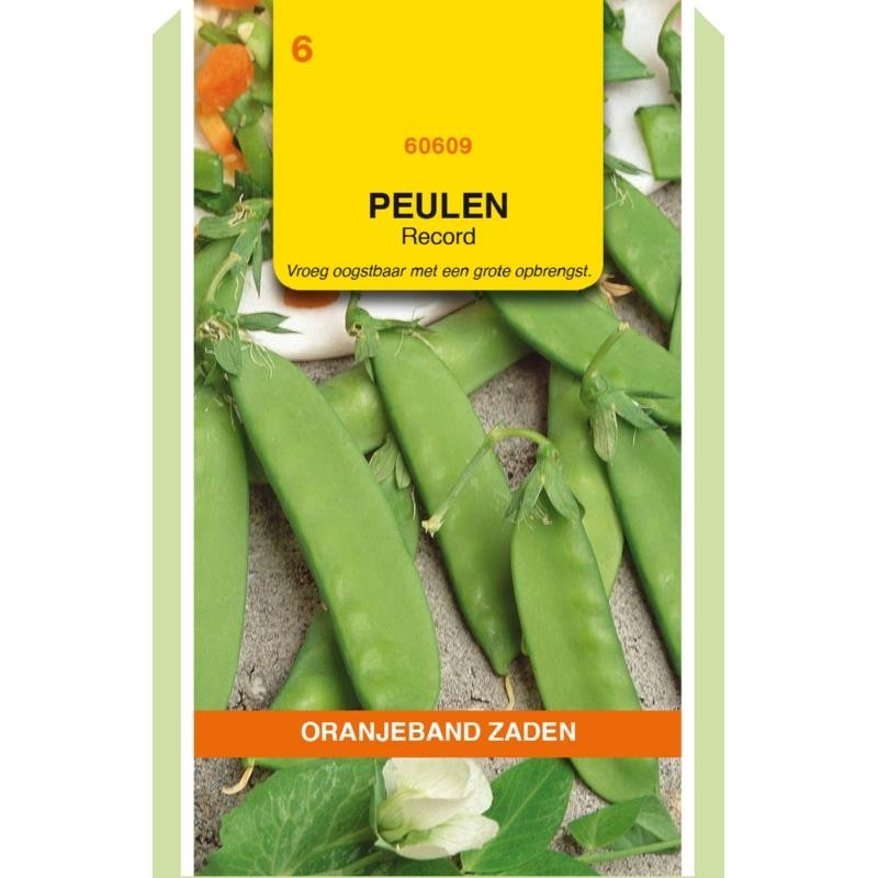 Peulen Record 100gr