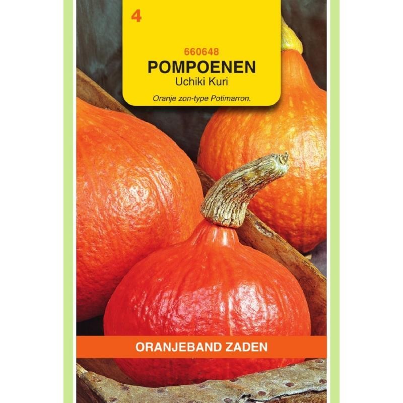 Pompoenen Uchiki Kuri