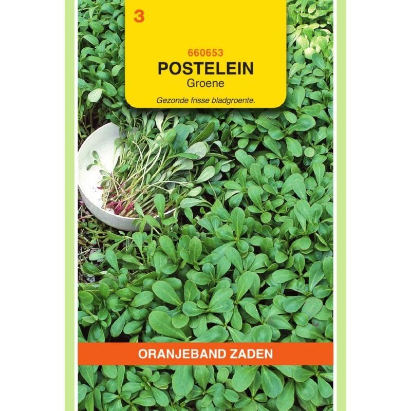 Postelein Groene