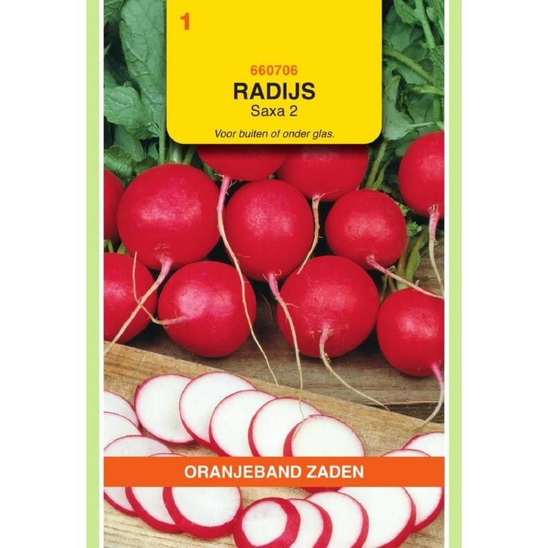 Radijs Saxa 2