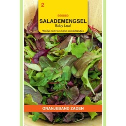 Salade Mengsel Baby-Leaf