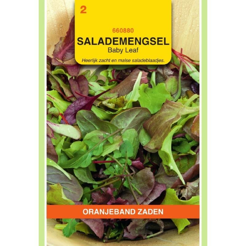 Salade Mengsel Baby-Leaf