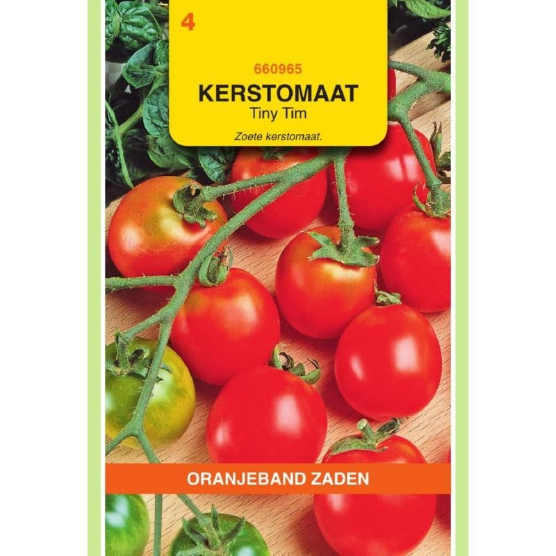 Tomaten Tiny Tim Kers- Balkontomaten