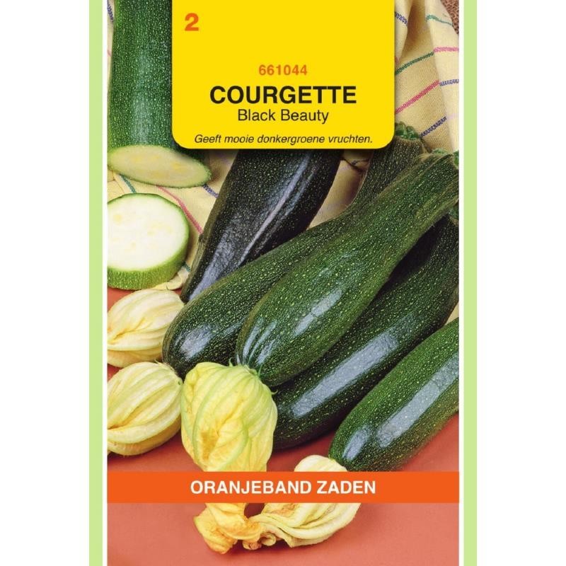 Courgette Black Beauty