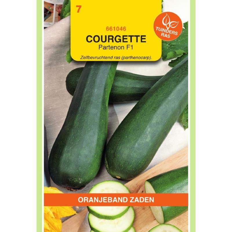 Courgette Partenon F1