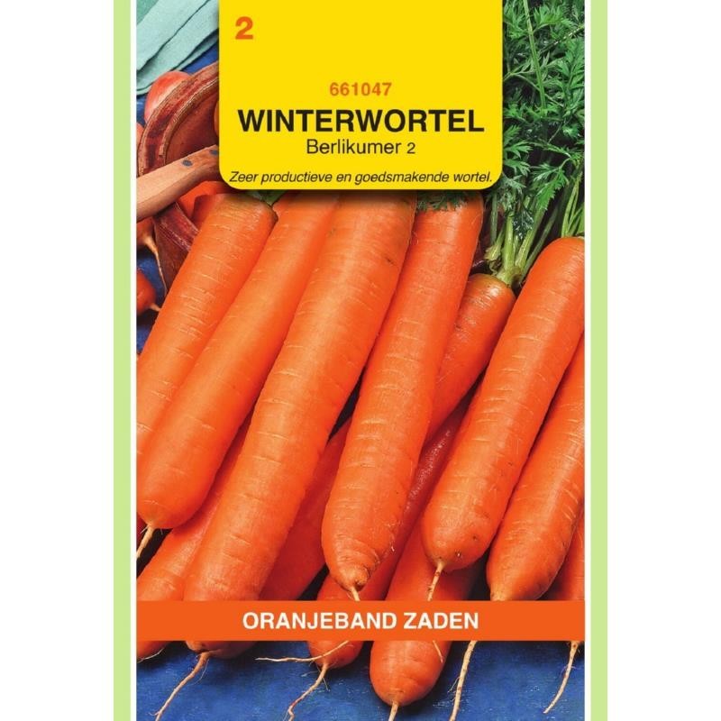 Winterwortelen Berlikumer 2