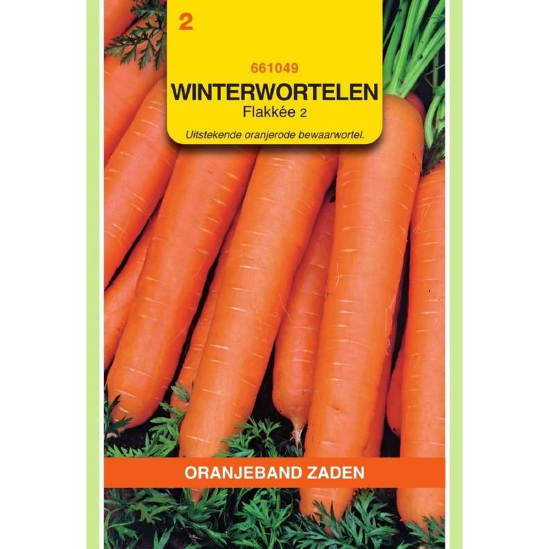 Winterwortelen Flakkée 2