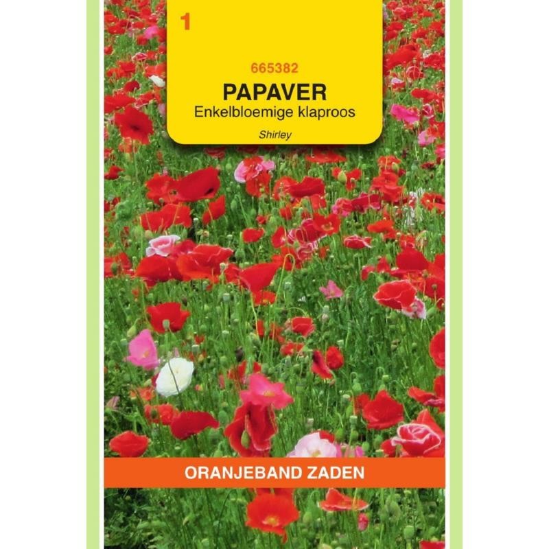 Papaver Klaproos enkelbloemig Shirley