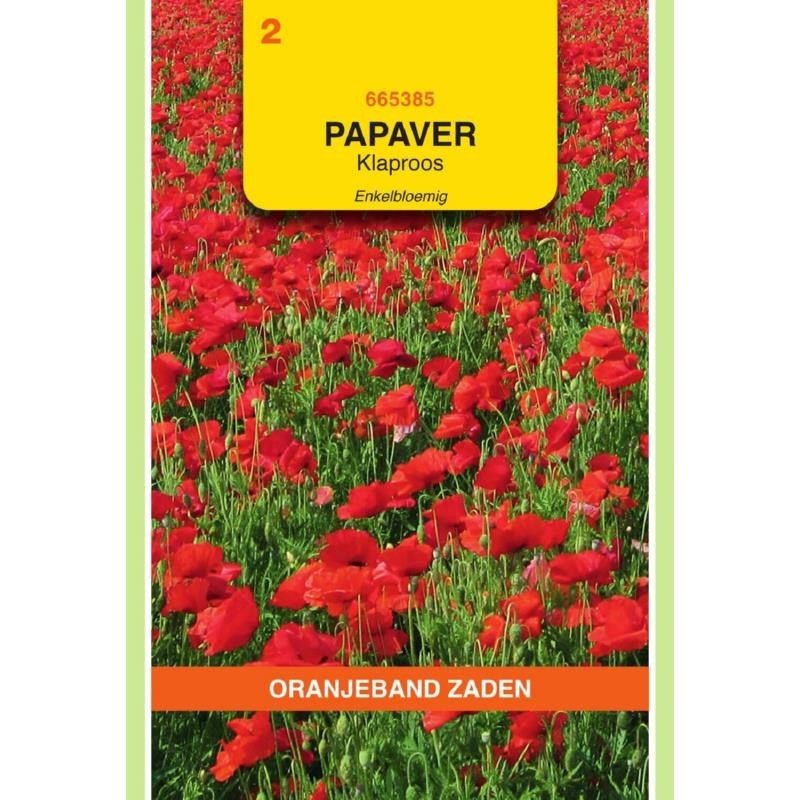 Papaver Klaproos enkelbloemig