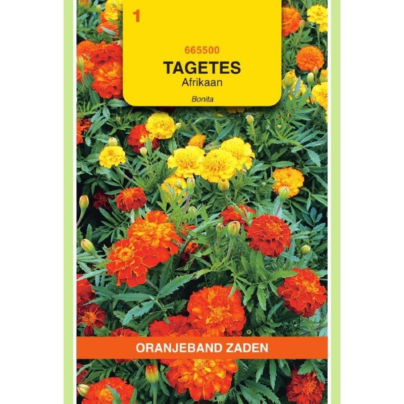 Tagetes Afrikaan Bonita gemengd