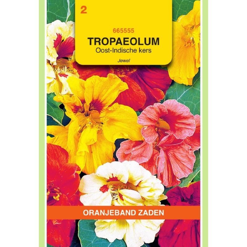 Tropaeolum Oost-Indische kers Jewel dubbelbloemig gemengd