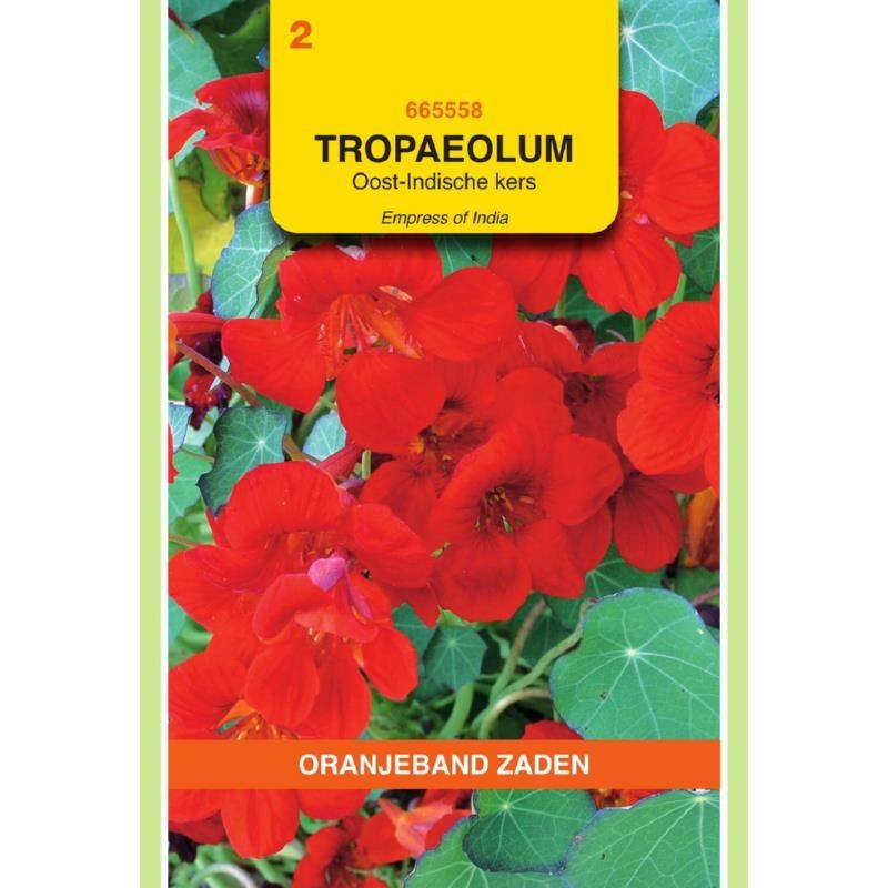 Tropaeolum Oost-Indische kers Empress of India Rood