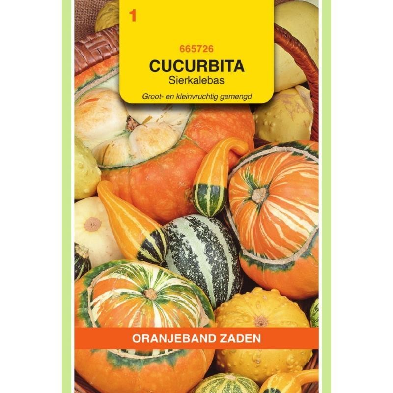 Cucurbita Sierkalebas groot- en kleinvruchtig gemengd