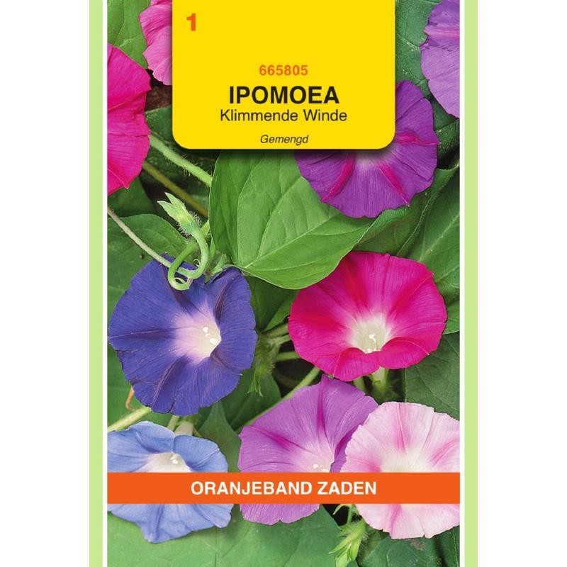 Ipomoea Klimmende Winde gemengd