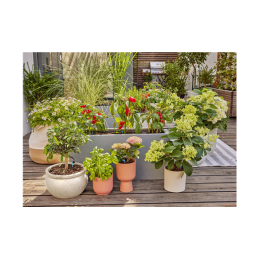 Micro-Drip-Bewatering Terras Set 30 planten