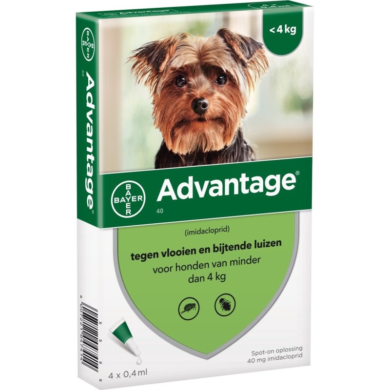 Advantage 40 hond tot 4 kg 4 pipetten