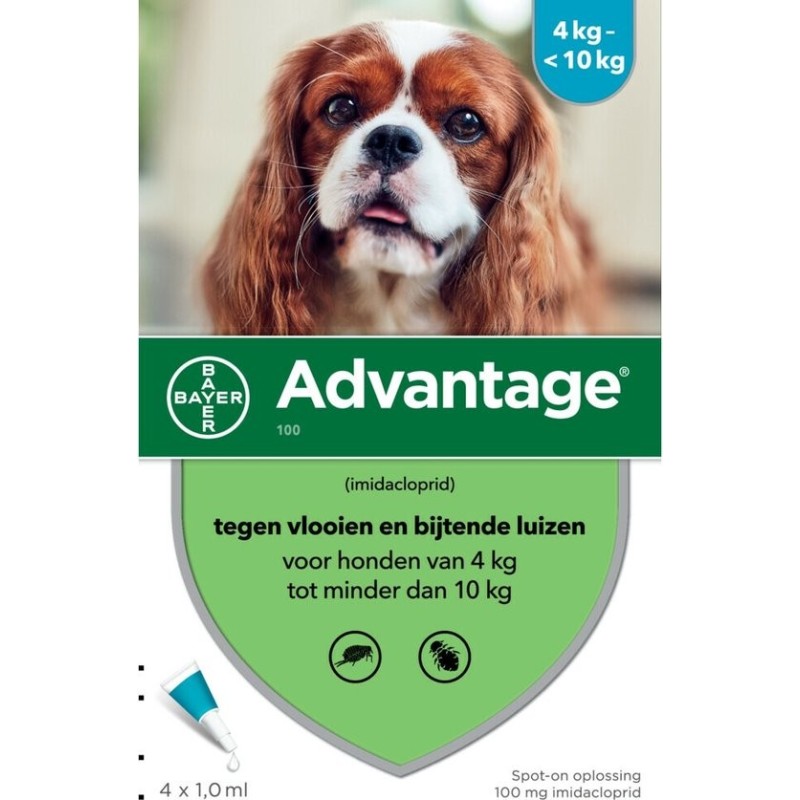 Advantage 100 hond 4 - 10 kg 4 pipetten