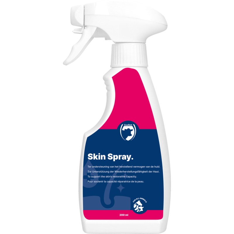 Skin Spray Blank