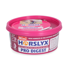 Horslyx Mini spijsvertering 650gr