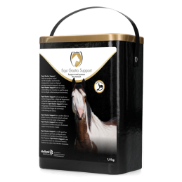 Equi Gastro Support