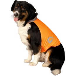 Honden veiligheidsvest Small oranje