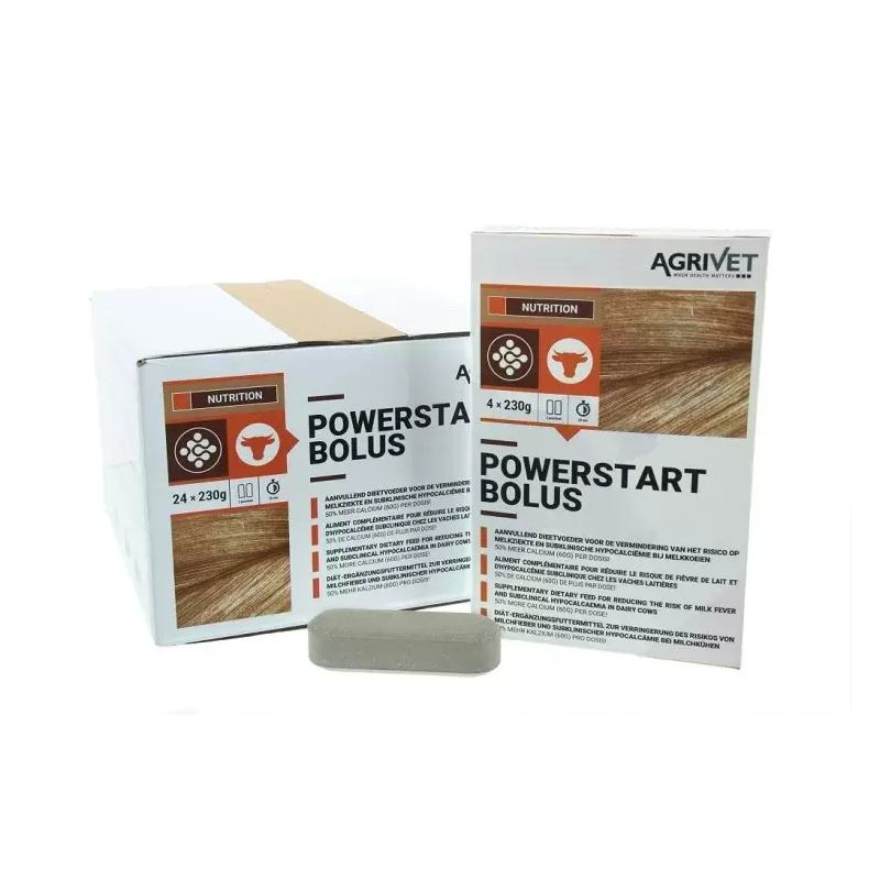 Powerstart Bolus 230 gram 4 stuks