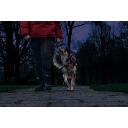 Honden veiligheidshalsband rood 70cm