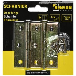 Scharnieren 75 x 46 mm 2 stuks