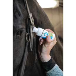 Excellent Equi Odour Spons-On 75 ml