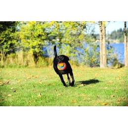 Chuckit! Kick Fetch Dog L