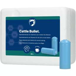 Cattle Bullet Droogstandbolus