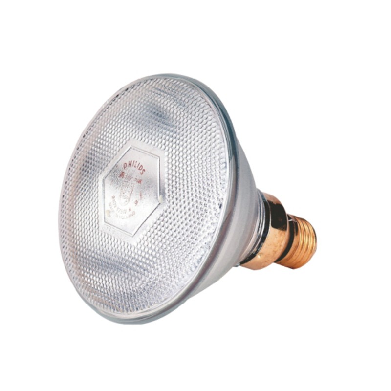 Philips Warmtelamp 100 watt wit