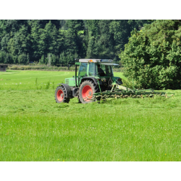 Graszaad Field Star Maaien 15kg