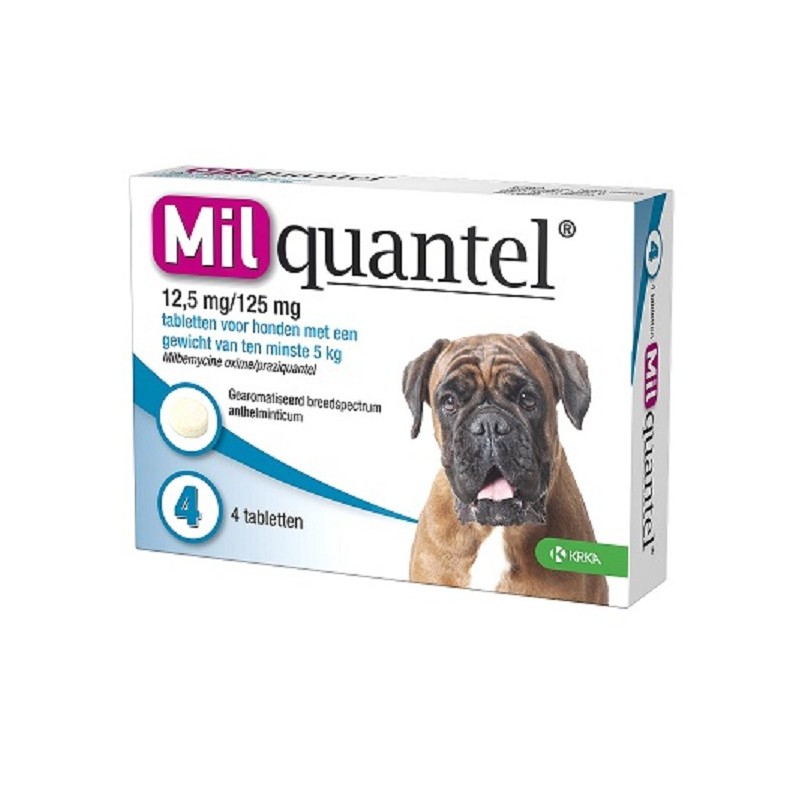 Milquantel wormtablet hond vanaf 5 kg 4 stuks