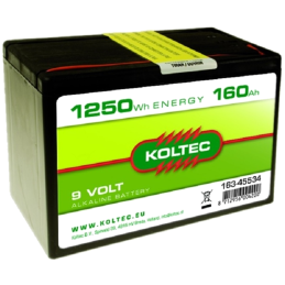 Batterij 9 Volt - 1250 Wh 160 Ah Alkaline