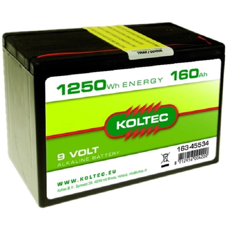 Batterij 9 Volt - 1250 Wh 160 Ah Alkaline