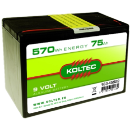 Batterij 9 Volt - 570 Wh 75 Ah Alkaline