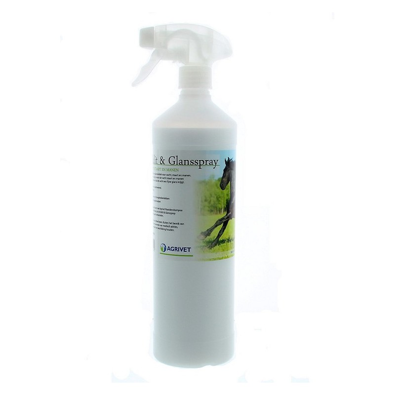 Antiklit & Glansspray 1 liter